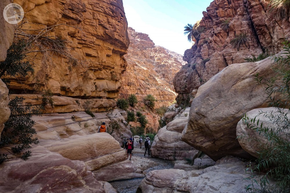 Sylwester w Jordanii: Nowy Rok na pustyni Wadi Rum, Petra i Amman