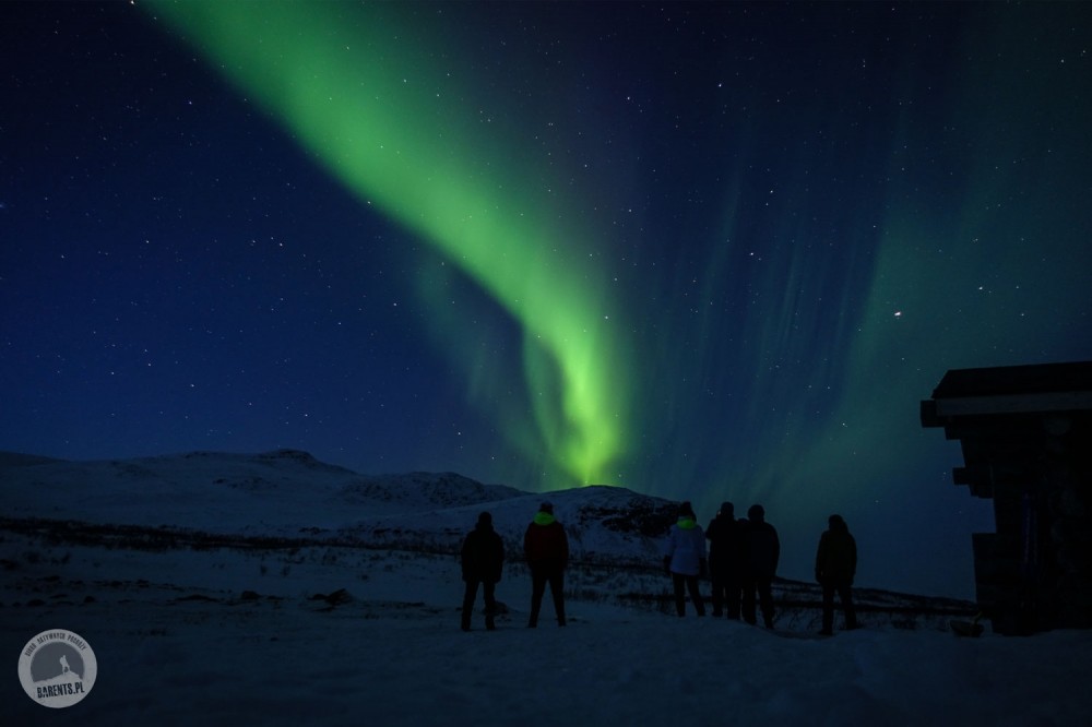 Finlandia: Laponia na biegówkach z pulkami w krainie Saamów