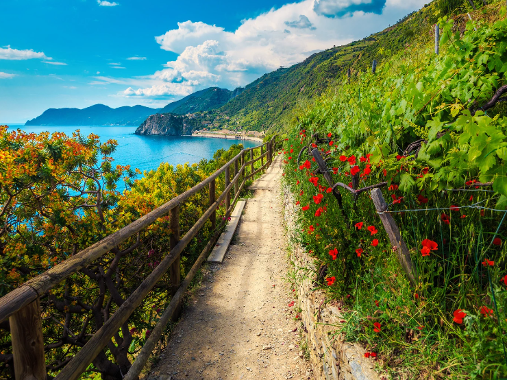 Genueńskie pesto i pastelowe Cinque Terre